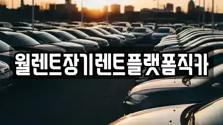 경기도 양주시 유양동 렌트카 전문 월렌트장기렌트플랫폼직카