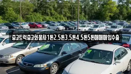 경기도 양주시 유양동 중고차매입 전문 중고트럭중고화물차1톤2.5톤3.5톤4.5톤5톤매매매입수출