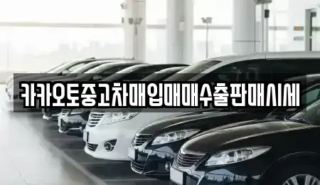 경기도 연천군 미산면 중고차매매 전문 카카오토중고차매입매매수출판매시세