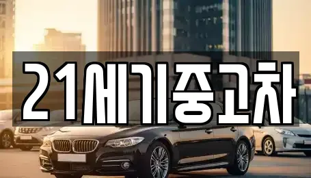 경기도 파주시 중고차 전문 21세기중고차