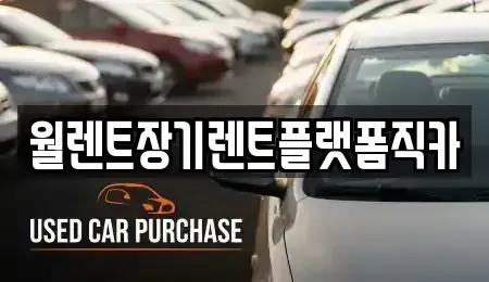 경기도 포천시 장기렌트카 전문 월렌트장기렌트플랫폼직카