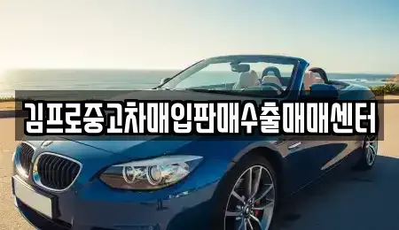 경기도 포천시 중고차매입 전문 김프로중고차매입판매수출매매센터