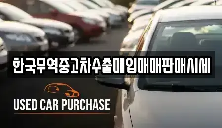 경북 경주시 용강동 중고차매입 전문 한국무역중고차수출매입매매판매시세