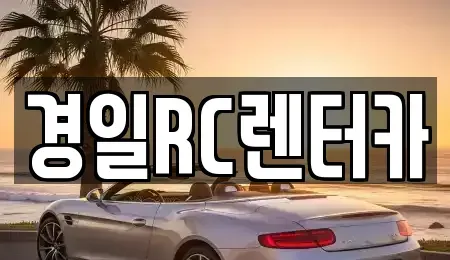 경북 영천시 문외동 렌트카 전문 경일RC렌터카