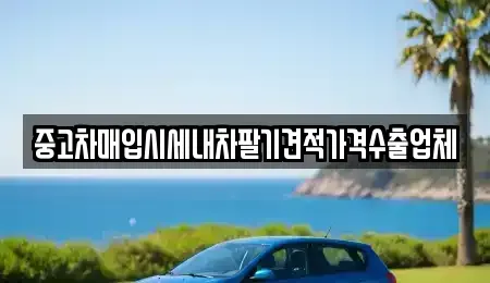 경북 영천시 문외동 중고차 전문 중고차매입시세내차팔기견적가격수출업체