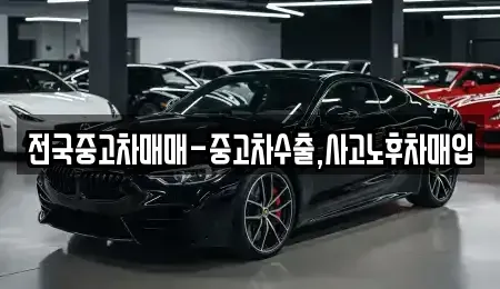 경북 영천시 문외동 중고차매입 전문 전국중고차매매-중고차수출,사고노후차매입