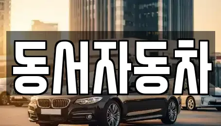 경상남도 진주시 이현동 중고차 전문 동서자동차