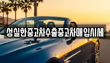 경상남도 진주시 이현동 중고차매입 전문 성실한중고차수출중고차매입시세