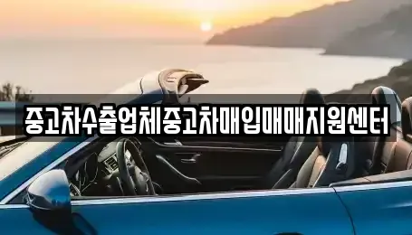 경상남도 진주시 이현동 중고차매입 전문 중고차수출업체중고차매입매매지원센터