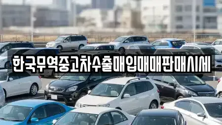 경상남도 진주시 이현동 중고차매입 전문 한국무역중고차수출매입매매판매시세