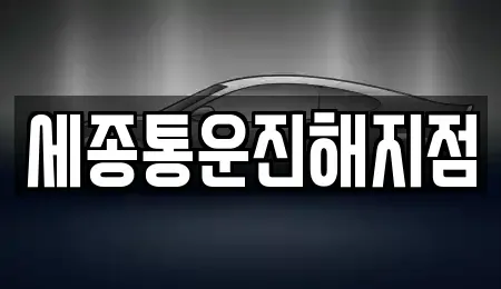 경상남도 창원시 진해구 이동 렌트카 전문 세종통운진해지점
