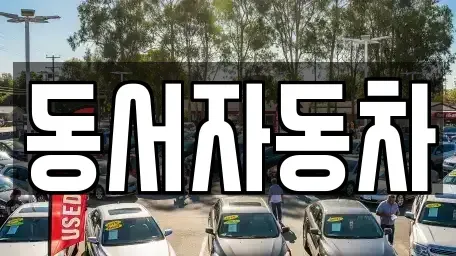 경상남도 창원시 진해구 이동 중고차 전문 동서자동차