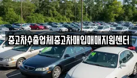 경상남도 창원시 진해구 이동 중고차매입 전문 중고차수출업체중고차매입매매지원센터