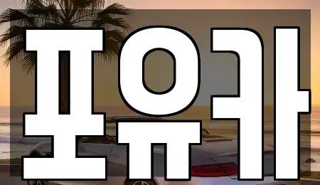 경상북도 포항시 남구 호동 중고차매매 전문 포유카