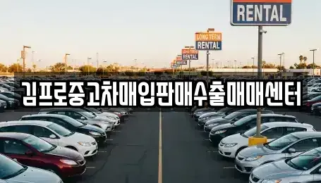경상북도 포항시 남구 호동 중고차매입 전문 김프로중고차매입판매수출매매센터