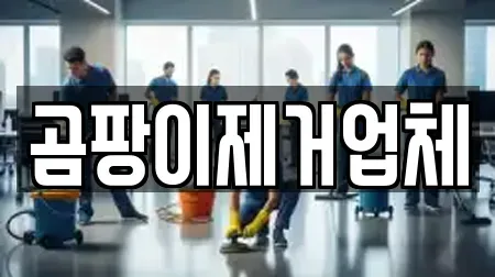 곰팡이제거업체