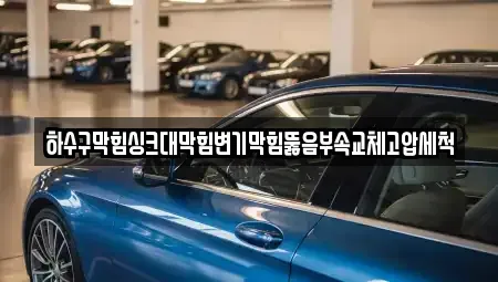 광주 광산구 동림동 중고차 전문 하수구막힘싱크대막힘변기막힘뚫음부속교체고압세척