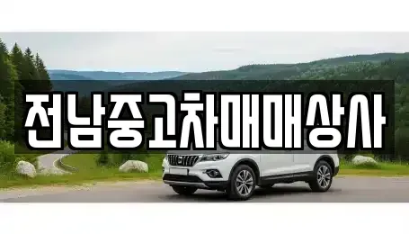 광주 광산구 박호동 중고차 전문 전남중고차매매상사