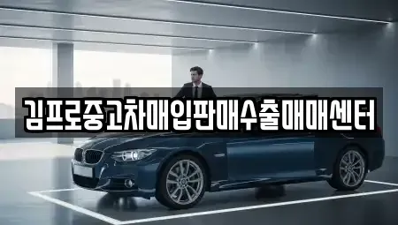 광주 광산구 박호동 중고차매입 전문 김프로중고차매입판매수출매매센터