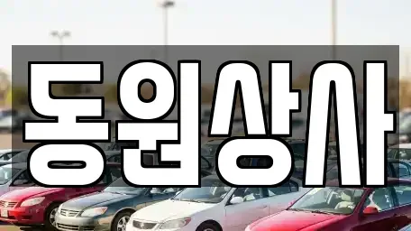 광주 동구 호남동 중고차매매 전문 동원상사