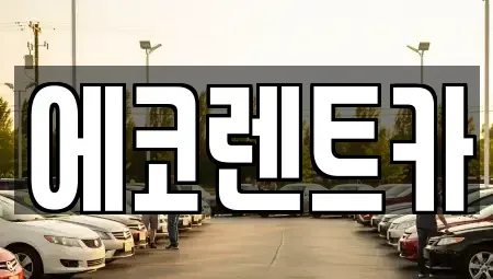 광주광역시 광산구 박호동 렌트카 전문 에코렌트카