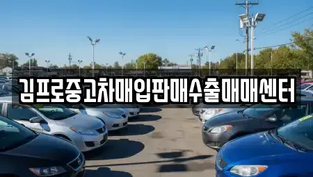 광주광역시 광산구 박호동 중고차매입 전문 김프로중고차매입판매수출매매센터