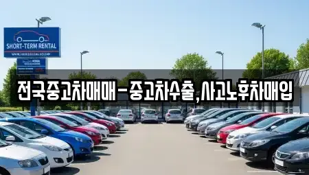 광주광역시 광산구 박호동 중고차매입 전문 전국중고차매매-중고차수출,사고노후차매입