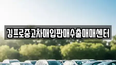 대구 동구 신기동 중고차매입 전문 김프로중고차매입판매수출매매센터
