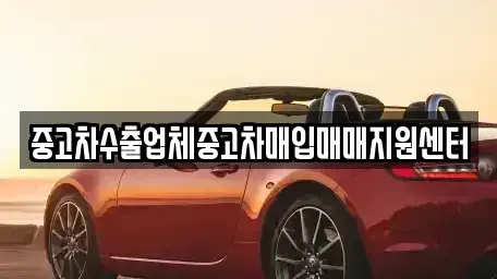 대구 동구 신기동 중고차매입 전문 중고차수출업체중고차매입매매지원센터