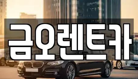 대구광역시 달성군 옥포읍 렌트카 전문 금오렌트카