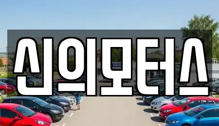 대구광역시 달성군 옥포읍 중고차 전문 신의모터스