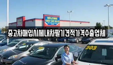 대구광역시 달성군 옥포읍 중고차매입 전문 중고차매입시세내차팔기견적가격수출업체