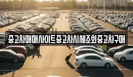 대구광역시 수성구 고모동 중고차매매 전문 중고차매매사이트중고차시세조회중고차구매