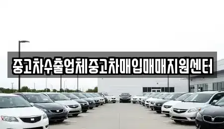 대전 동구 판암동 중고차매입 전문 중고차수출업체중고차매입매매지원센터
