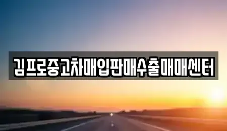대전광역시 대덕구 읍내동 중고차매입 전문 김프로중고차매입판매수출매매센터
