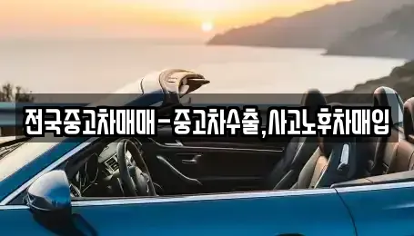 대전광역시 유성구 신동 중고차 전문 전국중고차매매-중고차수출,사고노후차매입