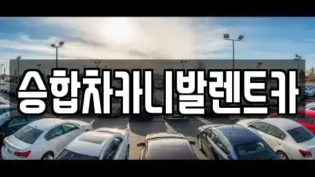 대전광역시 유성구 탑립동 렌트카 전문 승합차카니발렌트카