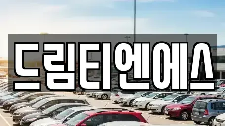 대전광역시 유성구 탑립동 중고차 전문 드림티엔에스