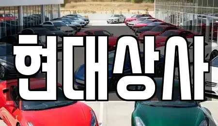 대전광역시 유성구 탑립동 중고차 전문 현대상사