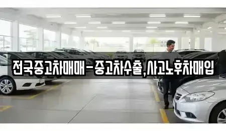 부산 강서구 신호동 중고차 전문 전국중고차매매-중고차수출,사고노후차매입