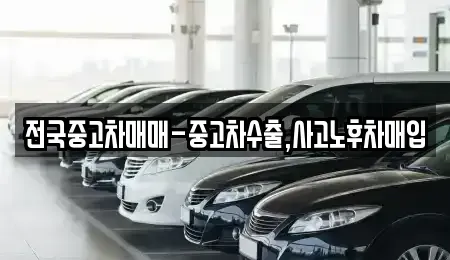부산광역시 강서구 범방동 중고차 전문 전국중고차매매-중고차수출,사고노후차매입