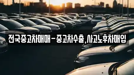 부산광역시 강서구 죽동동 단기렌트카,중고차매입,중고차매매,중고차,렌트카,장기렌트카