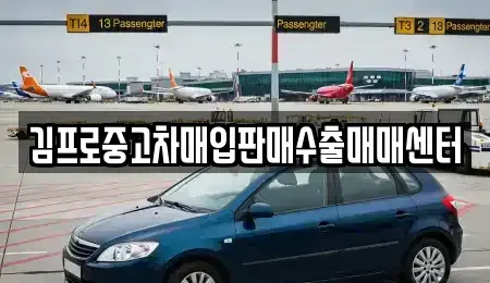 부산광역시 해운대구 석대동 중고차매입 전문 김프로중고차매입판매수출매매센터