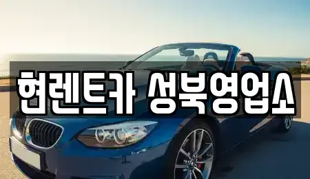 서울 성북구 동소문동6가 렌트카 전문 현렌트카 성북영업소
