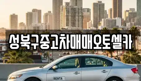 서울 성북구 동소문동6가 중고차 전문 성북구중고차매매오토셀카