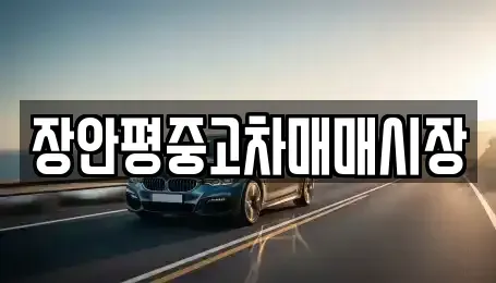 서울 성북구 동소문동6가 중고차 전문 장안평중고차매매시장