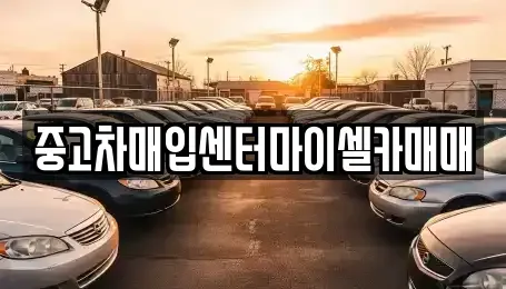 서울 성북구 동소문동6가 중고차매입 전문 중고차매입센터마이셀카매매