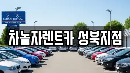 서울 성북구 렌트카 전문 차놀자렌트카 성북지점