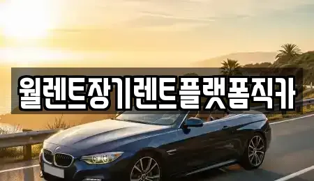 서울 성북구 장기렌트카 전문 월렌트장기렌트플랫폼직카