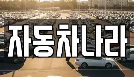 서울 성북구 중고차 전문 자동차나라